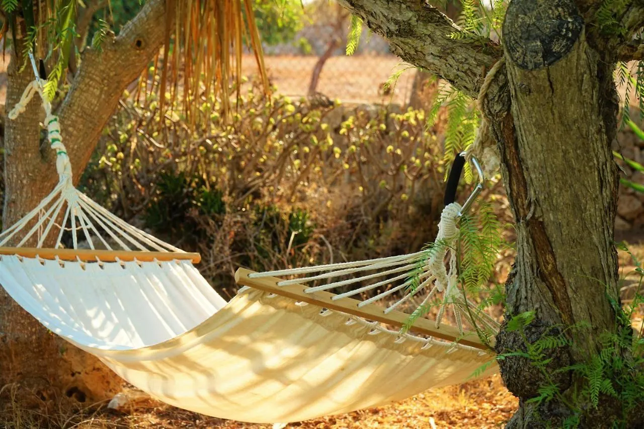Hotel Agroturismo Finca Sa Tanca Cala D´Or Espagne
