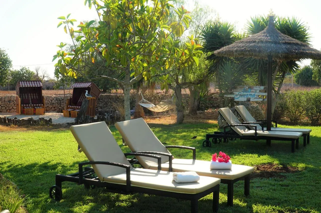 Hotel Agroturismo Finca Sa Tanca Cala D´Or Spanje